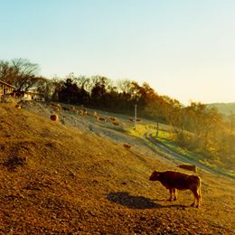 ウマいのには、それなりの理由がある
